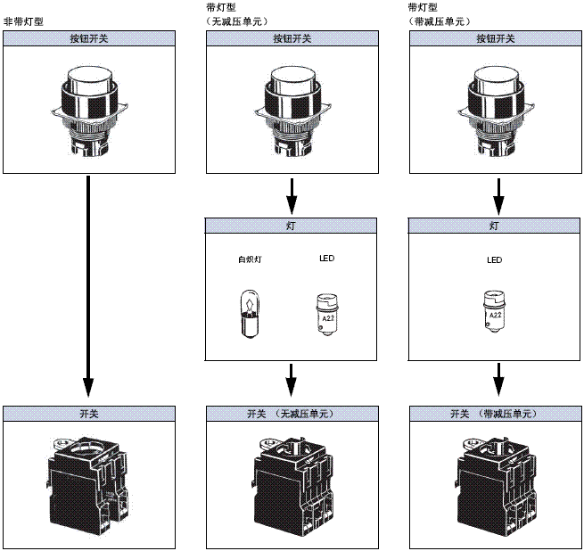 A22 种类 12 