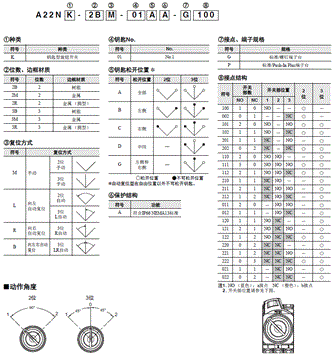 A22NK 种类 6 