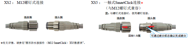 XS2 种类 3 