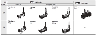 P2RFZ / P2RF, P2R, P7TF, PYFZ / PYF, PTFZ / PTF, PYD, PT, P7LF, PF, P2CF, PFA, P3G / P3GA, PL 种类 2 